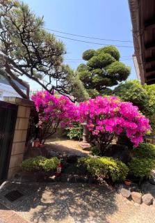 墨松居 - Osaka - 6