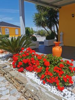A Flor da Rosa - 6