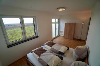 Ferienhaus Rebenhof - 2