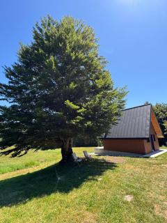Vikendica Bukovica - Šavnik - 6