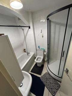 Bromford mere, Solihull - Solihull - 6