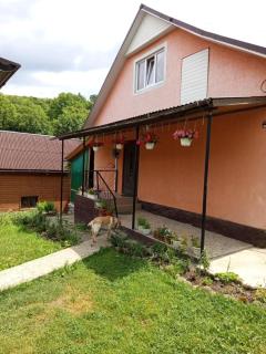 Gostynnyi Dvir u Marichky - Lazeshchyna - 8