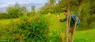 Lake View Villa Bunyonyi - Kabale - 8