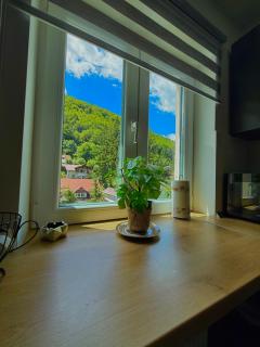 Mountain View - Sinaia - 1
