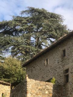 Gîte Le Cèdre - Beauchastel - 9