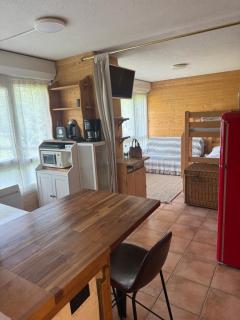 Studio station Puy-Saint-Vincent - Puy-Saint-Vincent - 6