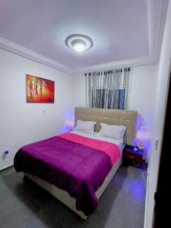 Stylish Private Studio in Odza Close to Nsimalen Intl Airport 7 miles - Yaoundé - 5