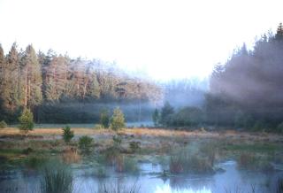 Wellnes und Wander Oase Burgwald - - 7