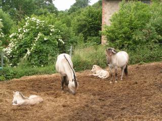 Wellnes und Wander Oase Burgwald - - 4