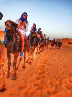 LuXURY SAHARA CAMP - Merzouga - 0