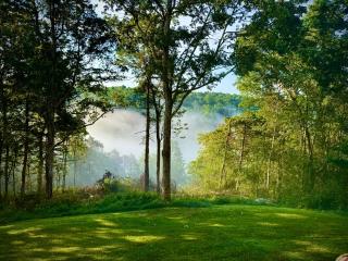 Comfortable basement apartment in the woods - Harrodsburg - 8