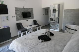 Apartman Dzunic - Pirot - 8