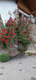 Садиба Янчар Номер Студiо з Басейном - 9