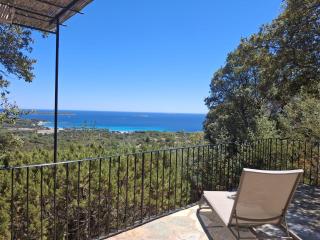 Résidence Belvedere de Palombaggia - Porto-Vecchio - 3
