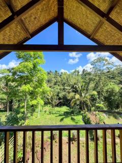 Hide and Seek - Tetebatu - 8
