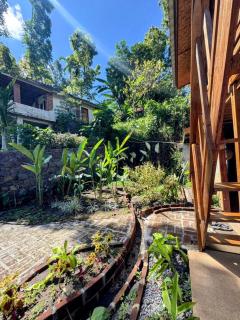 Hide and Seek - Tetebatu - 7