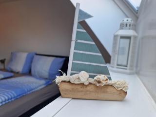 Haus Seeigel Strandflieder - Norderney - 1