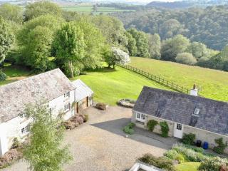 Lletty Cottage - Capel-Ifan - 6