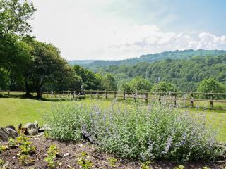 Lletty Cottage - Capel-Ifan - 5