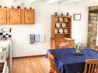 Lletty Cottage - Capel-Ifan - 2
