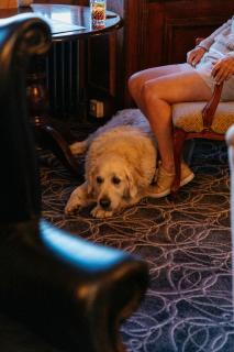 The Royal Hotel - Bideford - 4