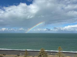 Cape View - Napier Holiday Home - Napier - 3