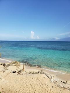 EVELIN'S on the Beach - 7