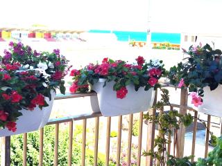 Casa Dolce Casa - Termoli - 8