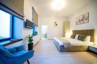 H&H Luxury Apartments - Arad - 8