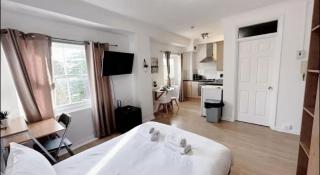 Studio Apartment Kings Road Chelsea - Londra - 0