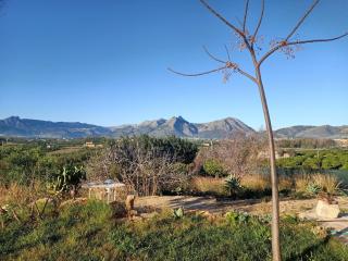La casa del algarrobo - 1