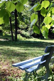 Wohlfühloase Für Natur Und Gartenliebhaber - 8