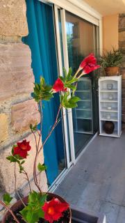Suite and garden BLUE EDEN, plages de Saint-Raphaël Côte d Azur - Saint-Raphaël - 9