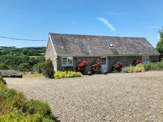 Cych Cottage - Capel-Ifan - 0