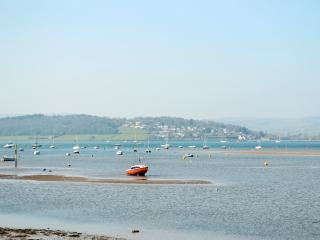 Folly Cottage - Kentisbeare - 2