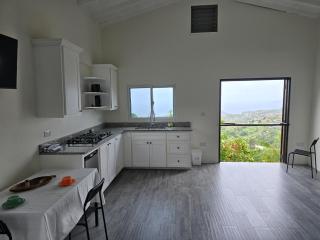 WindBlow Villa - Belmont - 3