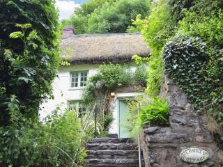 Georges Cottage - Hsss - Clovelly - 2