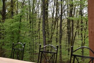 Gite cocon dans la forêt - Philippeville - 7