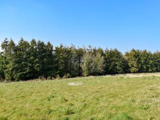 Old Highwood - Piggy In The Middle - Luppitt - 1