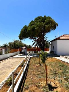 Limnos Twin Pine - Néa Koútali - 4