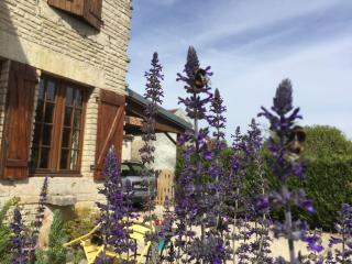 Gîte champenois les voisins - Cunfin - 0