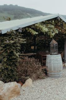 Weingut Später-Veit - 6