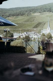Weingut Später-Veit - Piesport - 3