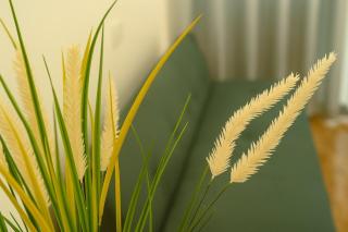 Spacious Stay for 14 , 4 Ensuite AC Rooms , Walk to Anuradhapura Sacred Sites - Anuradhapura - 2