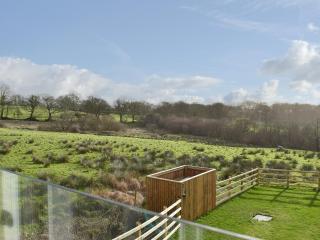 Ivy Bush Cottage - New Moat - 5