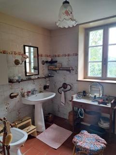 Berrichonne house near Beauval Zoo - Jeu-Maloches - 9