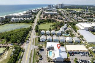 Turtle Time in Miramar Beach - 8