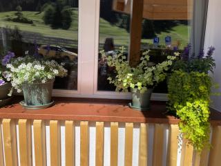 Fedaia Joy B&B - Canazei - 6