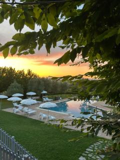 Il Giuggiolo - holiday homes - Fossombrone - 7
