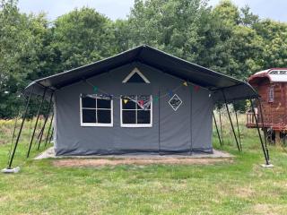 De Drentse Safari - Sleen - 0